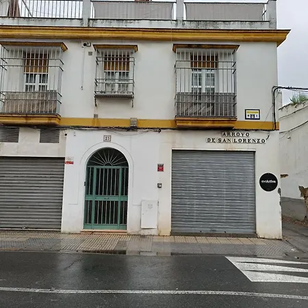 Atico En Ciudad Vieja